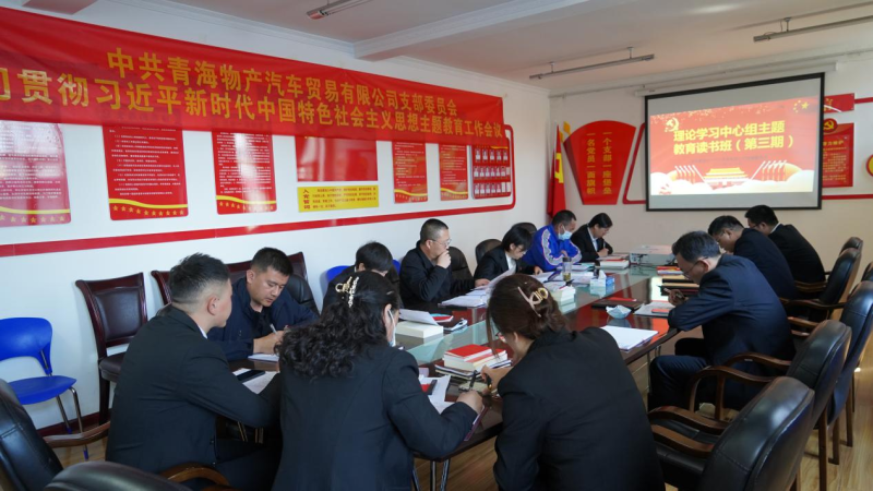把牢“五个贯穿始终”  持续推进主题教育走深走实 ——3044am永利集团汽贸党支部认真贯彻落实5.12集团党建暨主题教育工作推进会精神