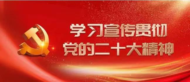 【学习二十大】在历史回望中感悟 “两个确立”的磅礴力量