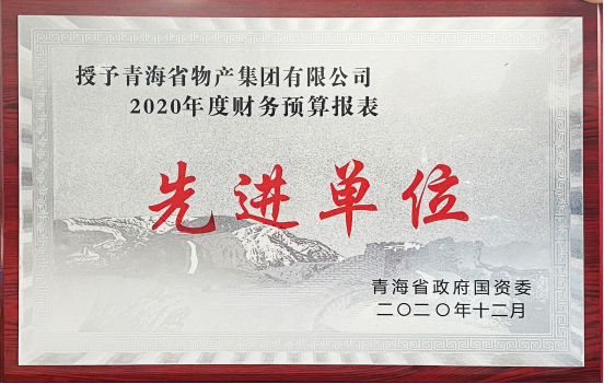 3044am永利集团集团荣获国资委2020年度财务预算报表工作先进单位和省财政厅2019年度全省